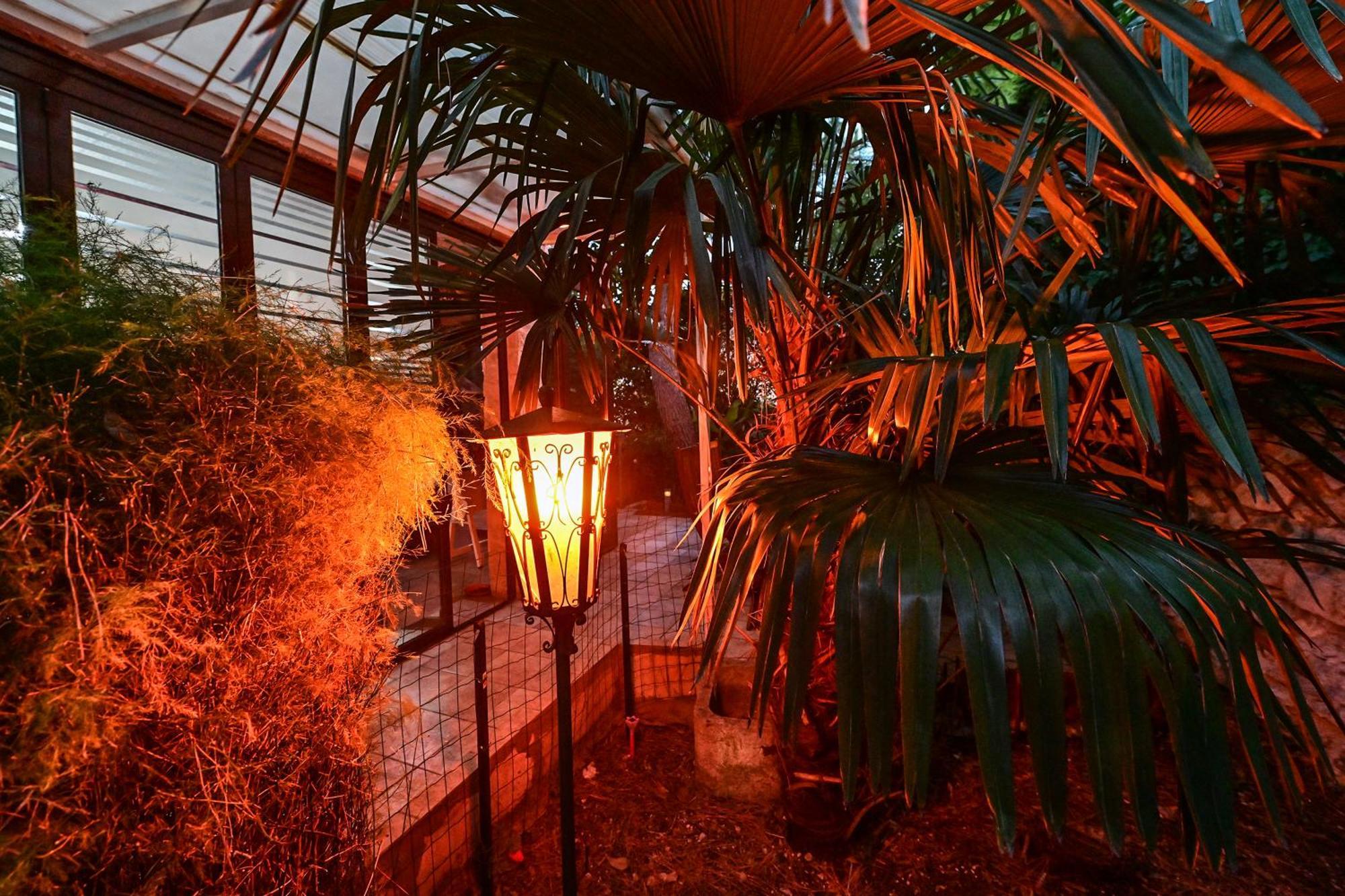 Appartamento Bohemian Rhapsody Rovigno Esterno foto
